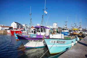 Copyright Alexandre LAMOUREUX